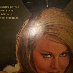 Playboy magazinesranging from 1962- 1982 subscript